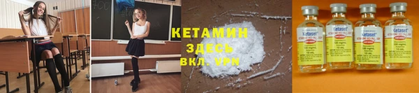 сатива Надым