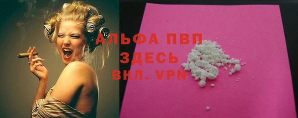 сатива Надым